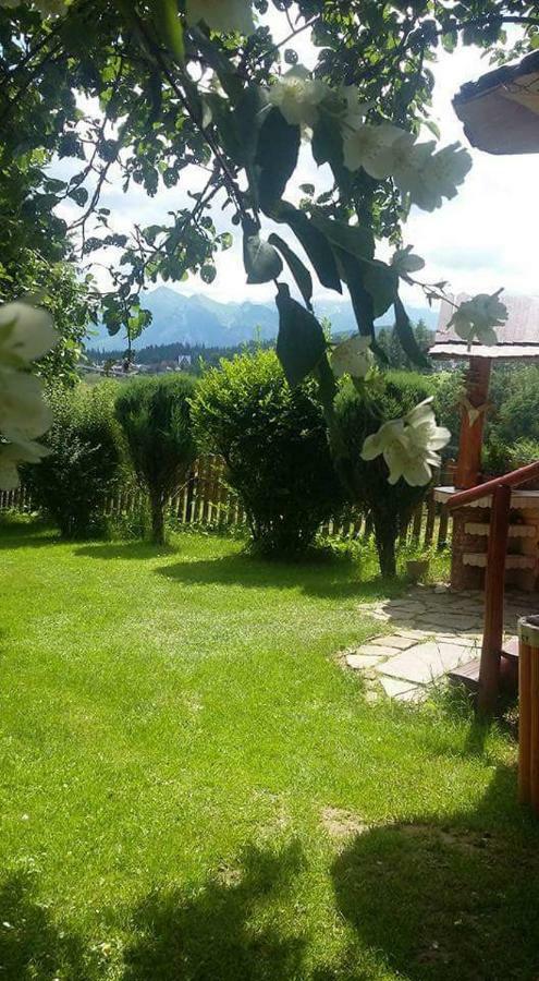 布库维纳塔然斯卡Agrotatry U Stachy别墅 外观 照片
