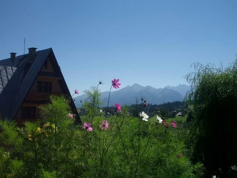 布库维纳塔然斯卡Agrotatry U Stachy别墅 外观 照片